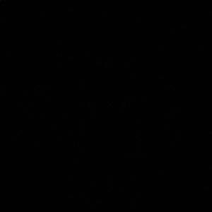 Meet your Posher, Tyrone